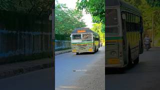 BEST AshokLeyland safety livery bus 💚😍#shorts #bestbus #mumbaibestbuses #mumbai #ytshorts