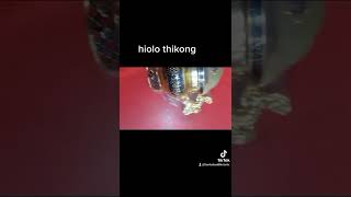 hiolo Thikong