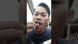 #shorts Makan permen marshmallow #trending #tiktok