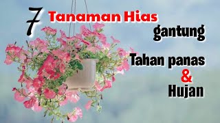 7 Tanaman Hias Gantung tahan PANAS dan HUJAN || yuk intip apa aja mom!!