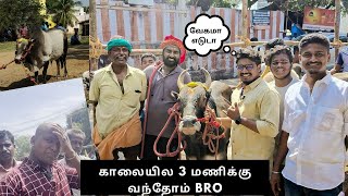 நாங்களும் அடக்குவோம்ல🤣 😂 | சோகத்திலும் ஒரு சந்தோசம் 🐂  #jallikattu2023