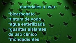 la gallina enferma pollo curar como moquillo con cuida a no gallinas animo levanta cual enfermedades