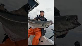 These Fish Fight HARD (Catch & Cook) #fishing #shorts