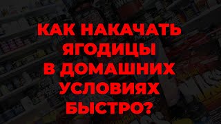 Как накачать ягодицы в домашних условиях быстро?