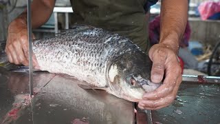 Amazing Fish Cutting Skills | Fish Cutting By Machine | Fish Cutting Specialist | Cutting Skills