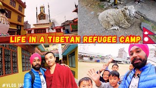 Life in a Tibetan Refugee Camp: Pokhara Experience #explorergabru #tibetan #nepal #vlog 107