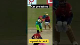 Can you believe of this catch.#shortsviral#cricket#uk