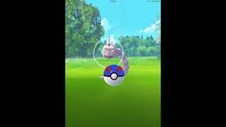 Pokemon Go capturing technique capturing 2 onix