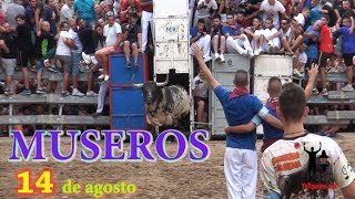 Yo♥️Taurino   [ MUSEROS ]   💎💎💎 ¡¡ Los ToRaZoS del AñO !!💎💎💎