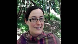 Nature's healing - Woodland Mindfulness Retreats for Women at Sharpham