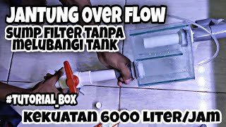 Cara Membuat BOX OVER FLOW   Sump Filter tanpa melubangi kaca TANK / Aquarium. FILTRASI SUMP FILTER.