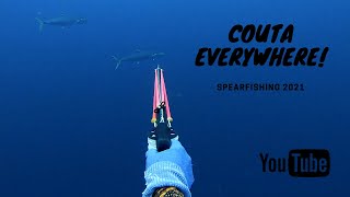 Spearfishing KING MACKEREL | South Coast