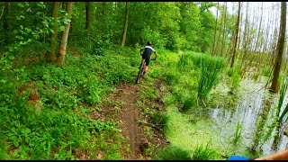 Solid MTB Bodzyniewo 2024 - MEGA