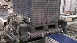 Depalletizing Handling system for SRS crates