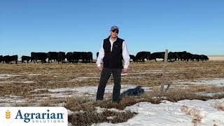 Agrarian Solutions DTX Beef Video