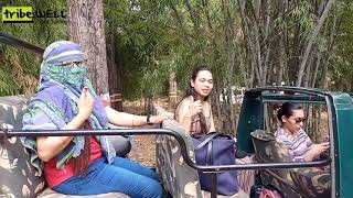 Barnavapara wildlife sanctuary // dekhe bar tola CG SONG // jungle Safari experience with tribe_well