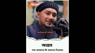 আল্লাহ পাক আমাদের কি আমানত দিয়েছেন। 👉Abu Toha Adnan #shortstoha