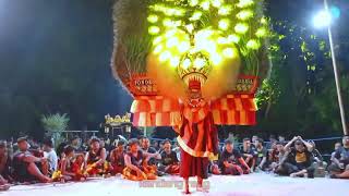 SOLAH PEMBARONG REOG DADAK MERAK TERBESAR#HONGGOLONO #reogterbesar #dadakmerak #reog