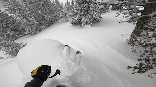 Early December Pow at Brighton