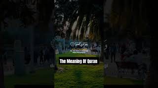 Quran Tilawat Verse | Best Voice Of Quran Tilawat Very Emotional Voice | #shortsvideo #youtubeshorts