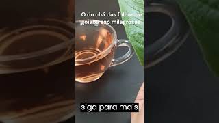 Chá de folha de goiaba . #shortvideo