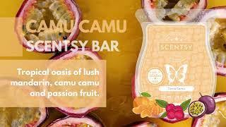 Camu Camu Scentsy Bar Fragrance Description