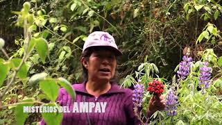 SANTUARIO NACIONAL DE AMPAY...