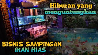 Hiburan jadi peluang bisnis yang menguntungkan // ikan hias