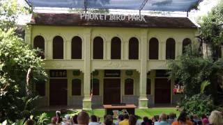 Птичий парк на Пхукете (Phuket bird park) Шоу птиц