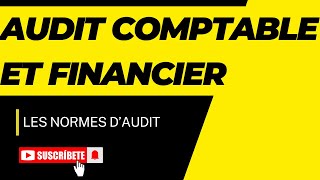 Normes d'Audit-Normes de Travail