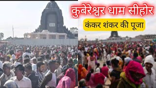 कुबेरेश्वर धाम सीहोर कंकर शंकर की पूजा कैसे करते है#रुद्राक्ष #pandit_pradeep_ji_mishra #rudraksha