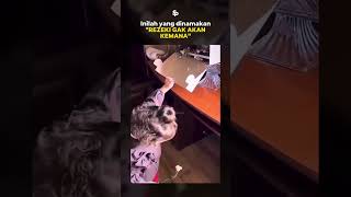 Rezeki Tidak Akan Tertukar, Semua Sudah Ada Yang Mengatur!