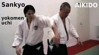 Aikido - SANKYO - on yokomen uchi striking attack, by Stefan Stenudd in 2007