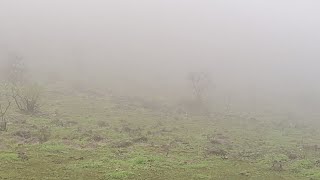 خريف صلالة 2021 Salalah