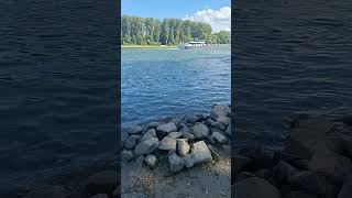 das #schiff Janina auf Bergfahrt Teil 2  #shorts #short #rhein