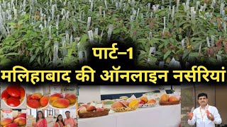 Part–1 मलिहाबाद की ऑन लाइन नर्सरियां Mango 🥭 Nursery in Malihabad यूपी आम महोत्सव 2024