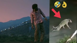 srivalli song funny video funny dog video 🤣🤣🤣 #pushpa #srivalli #