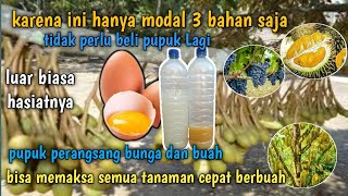 pabrik pupuk bisa bangkrut jika petani tau cara ini ,pupuk perangsang bunga dari air leri dan telur