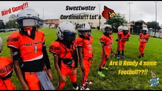 Sweet Water Cardinals Vs. Dinsmore Raiders 8u