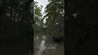 বৃক্ষ সবুজ তৃণ সবুজ সবুজ টিয়া পাখি | Ratna #travelogueshahin #travel #ytshorts #folksong