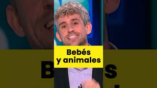 Animales y bebés en casa