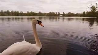 Westport Lake, Geocache Walk (GoPro Template Test)