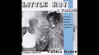 ReGGae Music 815 - Little Roy & Friends - Hurt Not The Earth [Pressure Sounds]