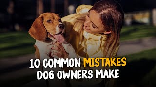 10 Common Mistakes Dog Owners Make