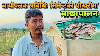 बायोफ्लक प्रविधिमा माछापालन सम्भावना र चुनौती, Biofloc Fish Farming in Nepal. Biofloc Cement Tank.