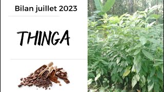 THINGA, juillet 2023