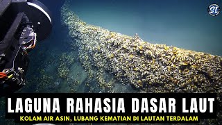 Kolam Air Asin : Fakta menarik laguna Lubang kematian di lautan terdalam