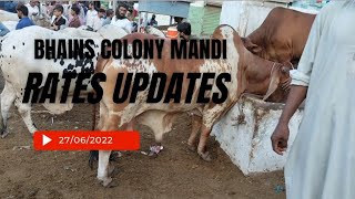 27/06/2022 mandi rates updates/bhains colony mandi/@mandivlogswithejaz