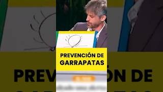 ¿Cómo prevenir las garrapatas?