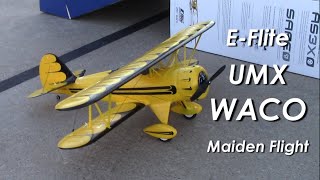 E-flite UMX WACO Maiden Flight